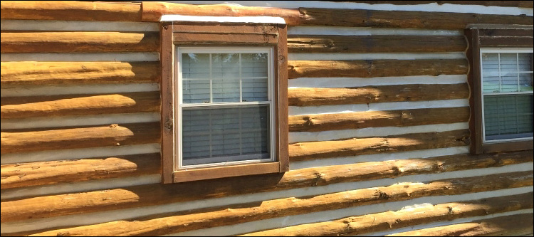 Log Home Whole Log Replacement  Blackshear, Georgia