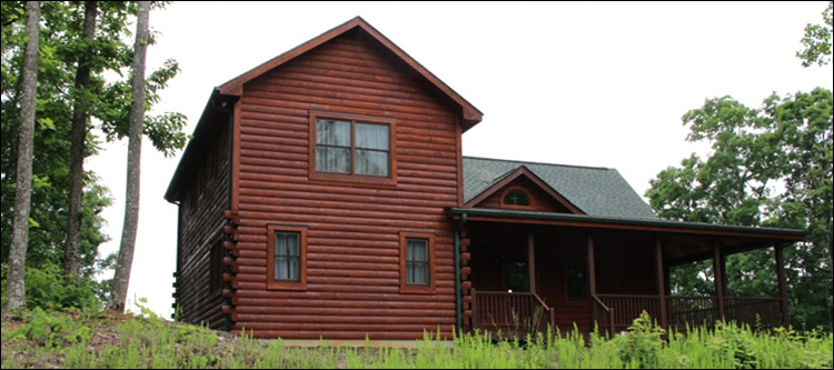 Professional Log Home Borate Application  Pierce County, Georgia
